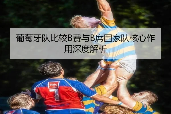 葡萄牙队比较B费与B席国家队核心作用深度解析