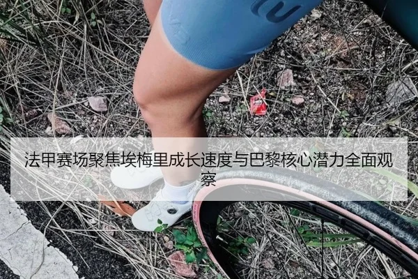 法甲赛场聚焦埃梅里成长速度与巴黎核心潜力全面观察